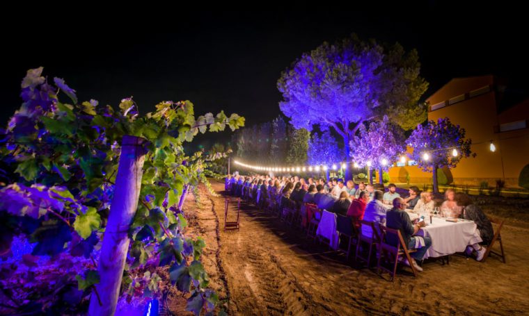 Las bodegas de Cava abren sus puertas durante la vendimia con actividades únicas