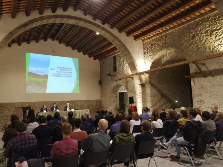 S’han presentat els resultats dels treballs de la Plataforma DIV Penedès