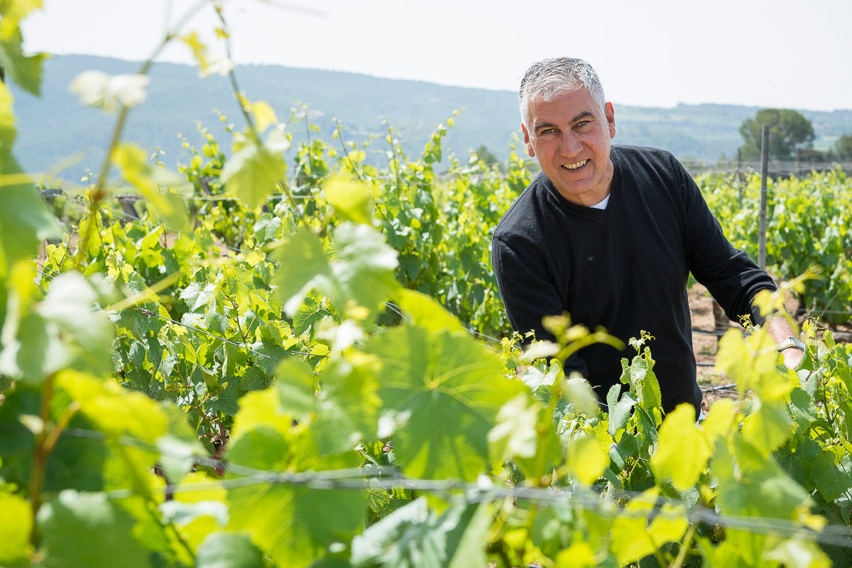 Damià Deas renovará como presidente de la patronal del Cava