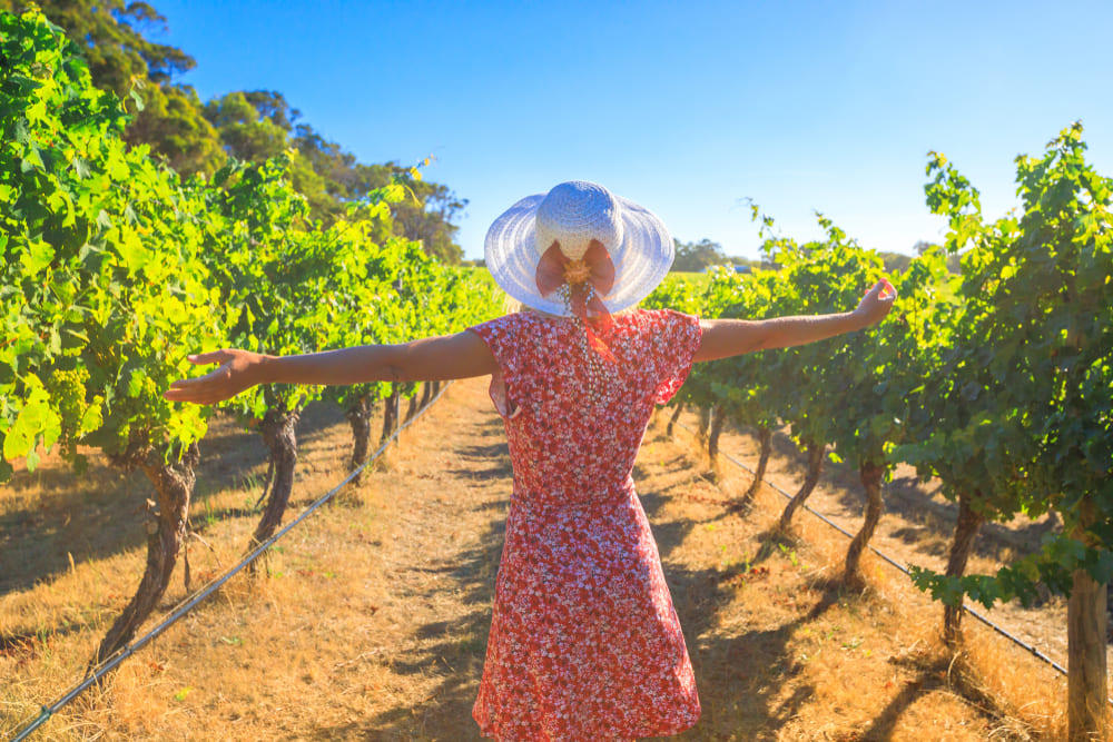 Aquest setembre, torna La Verema del Cava a quinze cellers emblemàtics del Penedès