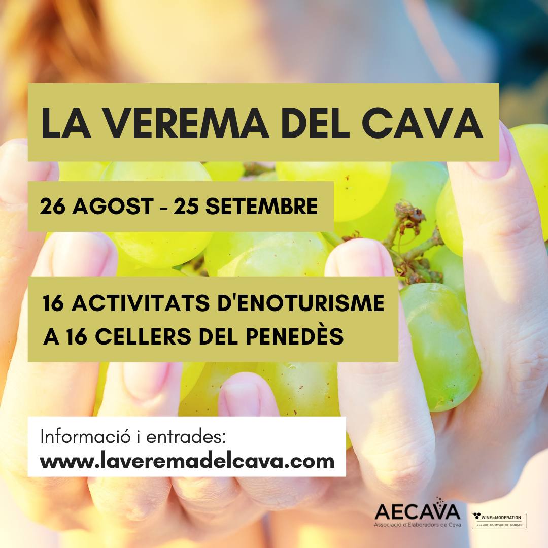 Vuelven las actividades de  “La Vendimia del Cava”