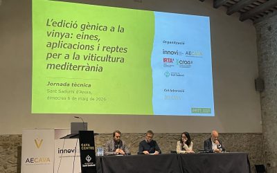 El sector vitivinícola analitza la innovació genòmica per avançar cap a una vinya més resilient i competitiva